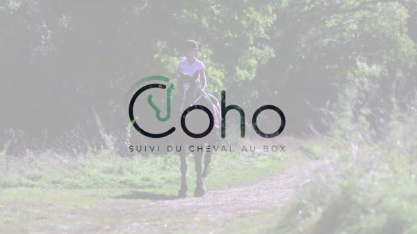 Coho logo vidéo miniature