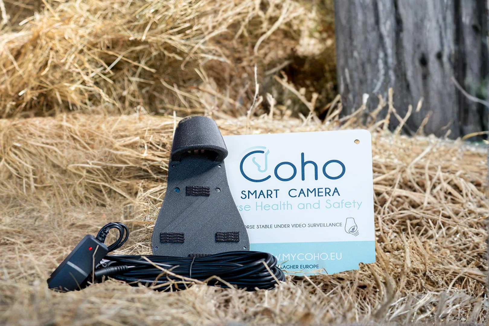 Coho Kit Écurie – Image 3