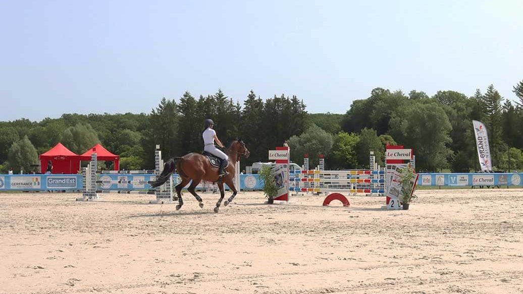 Sur un terrain de concours, une cavalière aborde un obstacle avec son cheval.