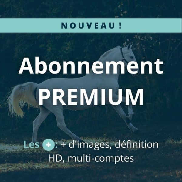 Abonnement - Premium